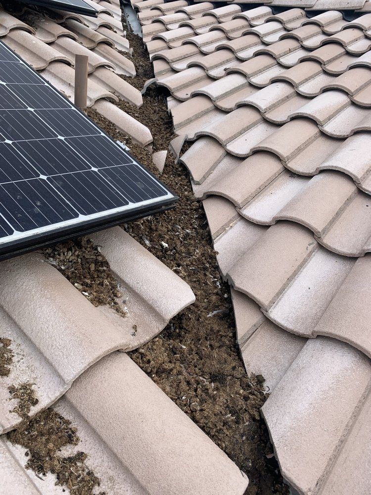 Pigeon nesting debris packed under solar panels on a Fresno tile roof before bird proofing