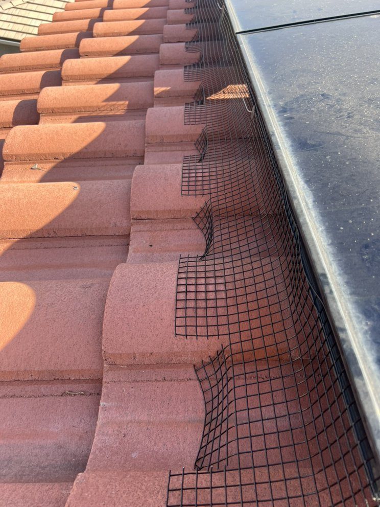 Black bird netting clipped along the edge of rooftop solar panels to block pigeons