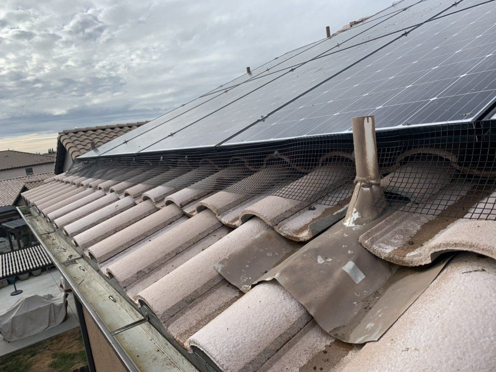 Critter guard mesh installed under rooftop solar panels