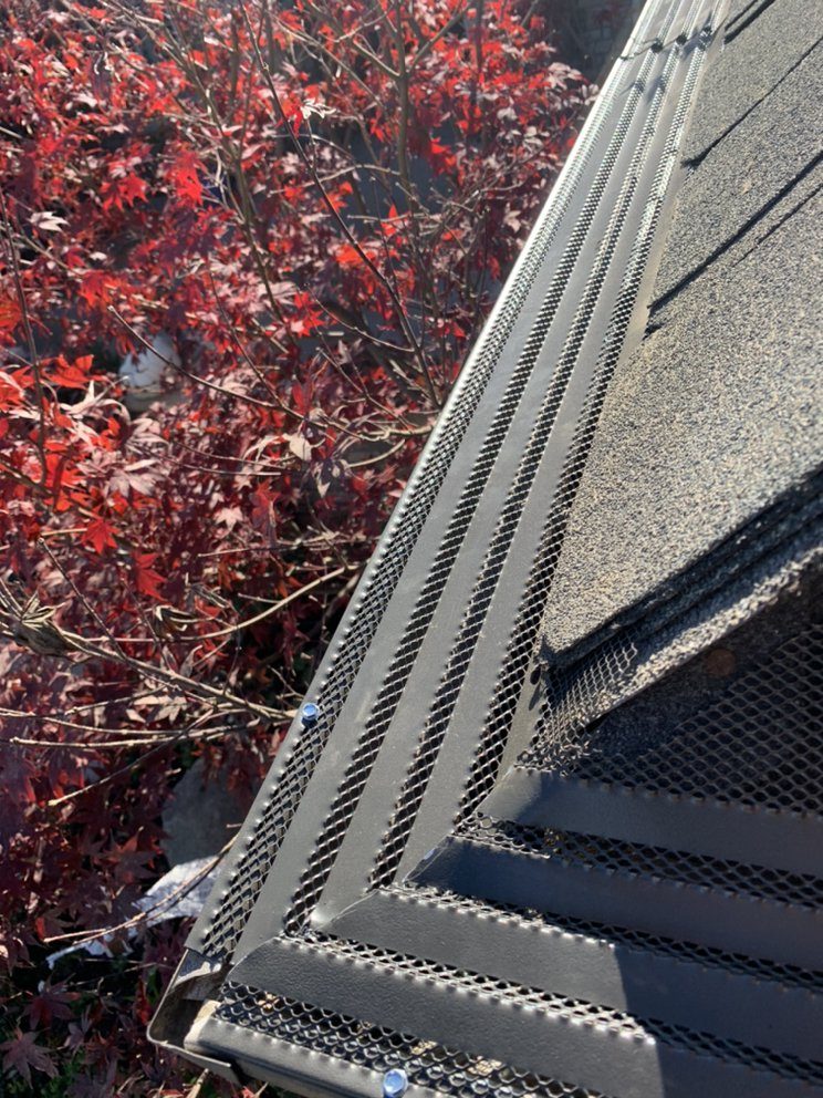 Bird netting running along a roofline beside a solar array