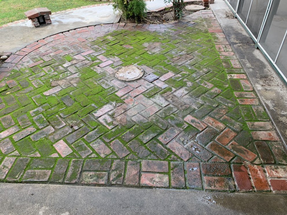 Brick patio covered in green moss and grime before pressure washing